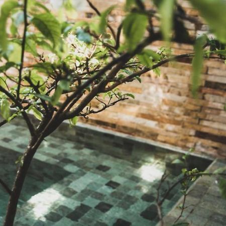 Tropical House - Villa Com Piscina Perto Do Mar Jijoca de Jericoacoara Ngoại thất bức ảnh