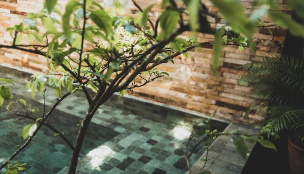 Tropical House - Villa Com Piscina Perto Do Mar Jijoca de Jericoacoara Ngoại thất bức ảnh